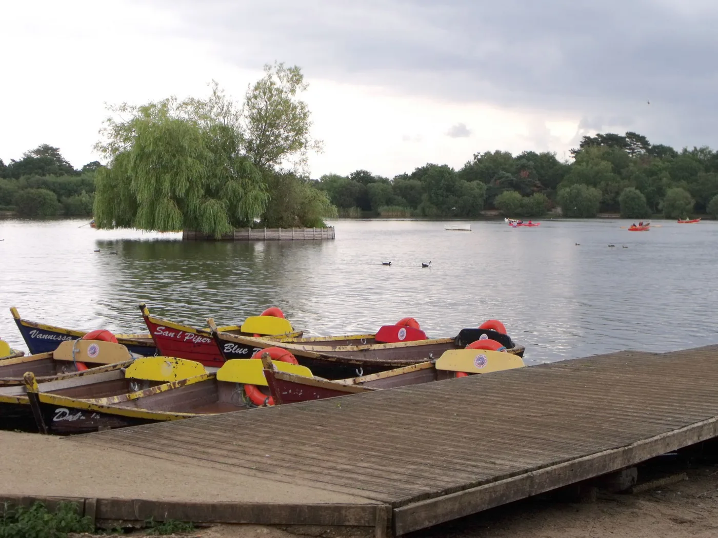 Rowing boats on Heath Pond, Petersfield
